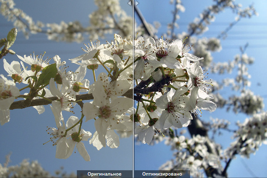 Ashampoo Photo Optimizer 6.0.19.136 Final