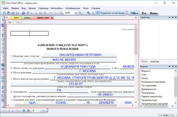 Form Pilot Office 2.48