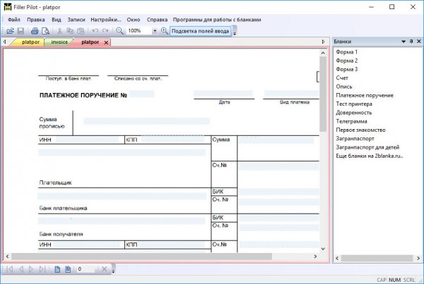 Form Pilot Office 2.48