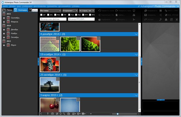 Ashampoo Photo Commander 14.0.3