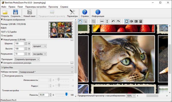 Benvista PhotoZoom Pro 6.0.8