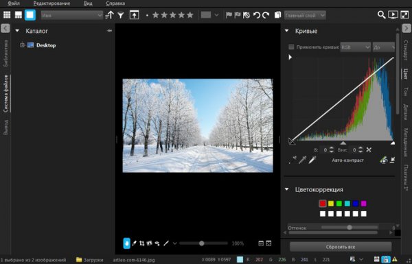Corel AfterShot Pro 2.4.0.119 + Rus Corel AfterShot Pro 2.4.0.119 + Rus