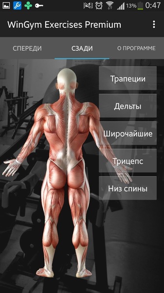 WinGym Exercises Premium 2.7 WinGym Exercises Premium 2.7