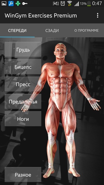 WinGym Exercises Premium 2.7 WinGym Exercises Premium 2.7