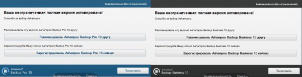 Ashampoo Backup Pro/Business 10.01
