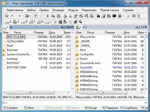 Altap Salamander 3.06
