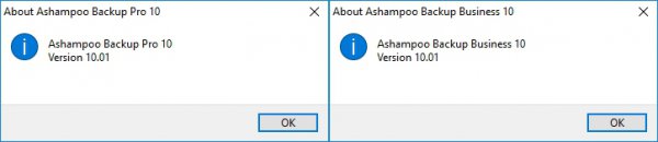 Ashampoo Backup Pro/Business 10.01