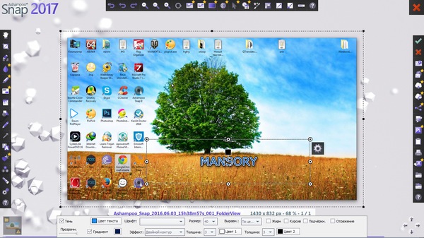 Ashampoo Snap 2017 1.0.1
