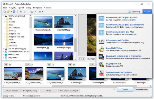 PicturesToExe Deluxe 8.0.21