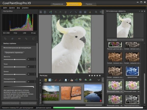 Corel PaintShop Pro X9 Ultimate 19.2.0.7 + Content