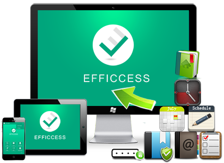 Efficient Efficcess 5.60 Build 553