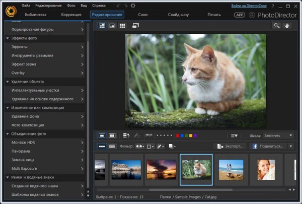 CyberLink PhotoDirector Ultra 8.0.3019.0 + Rus