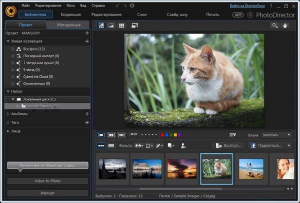 CyberLink PhotoDirector Ultra 8.0.3019.0 + Rus CyberLink PhotoDirector Ultra 8.0.3019.0 + Rus