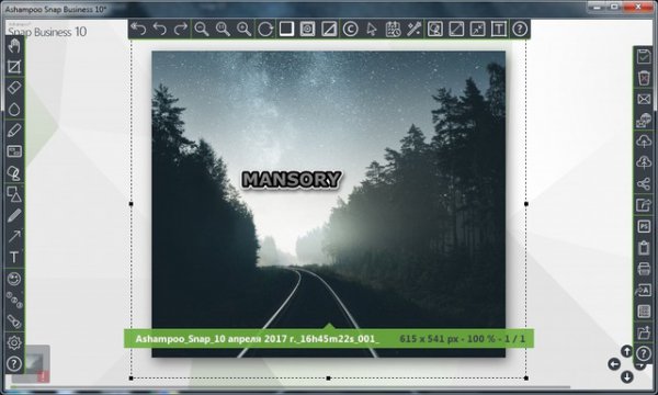 Ashampoo Snap Business 10.0.1