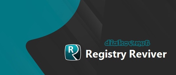 ReviverSoft Registry Reviver 4.20.1.8