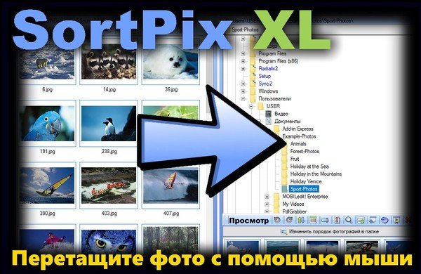 SortPix XL 20.0.0 + Rus