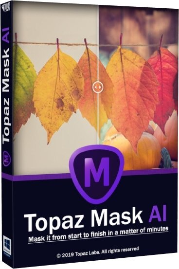 1571951683_topaz-mask-ai-box.jpg