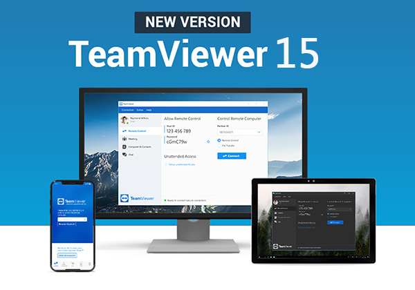 teamviewer portable 15