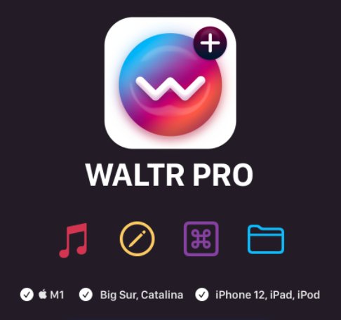 waltr pro windows
