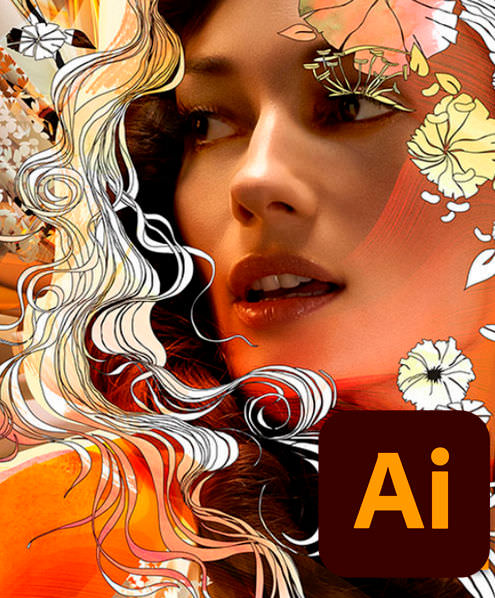 Adobe Illustrator:     PRO (2021)