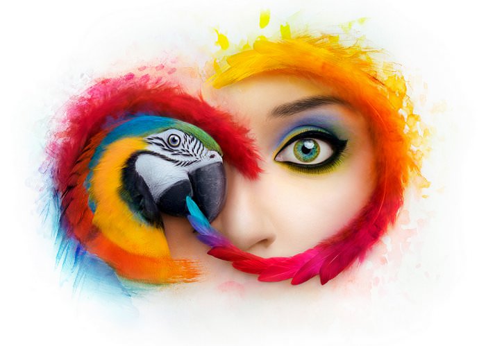 Adobe Master Collection 2022 RUS-ENG v12