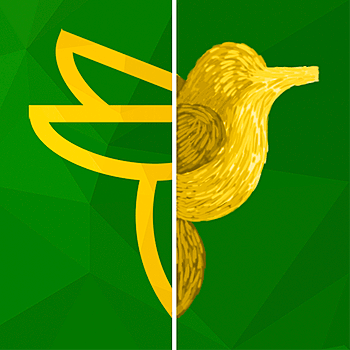 Picturize it - Making art v1.0.10 Premium