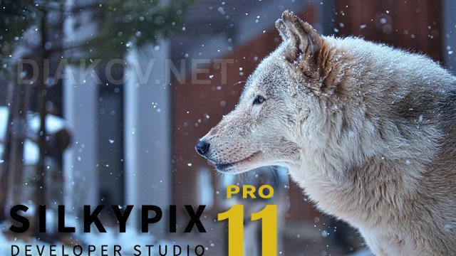 SILKYPIX Developer Studio Pro 11.0.15.0 + Portable + Rus