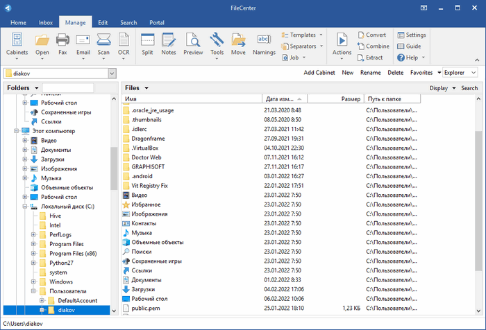 Lucion FileCenter Suite 12.0.13 for ipod instal