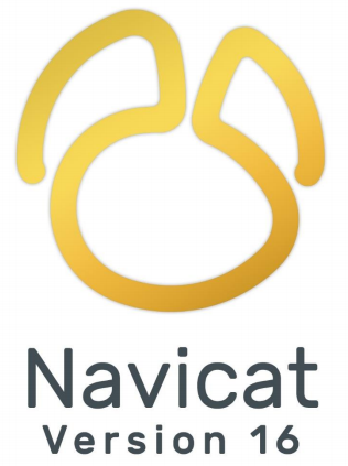 Navicat Premium 16.1.11