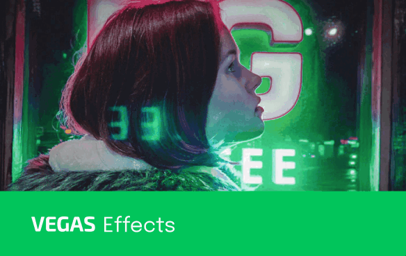 MAGIX VEGAS Effects v5.0.2.0