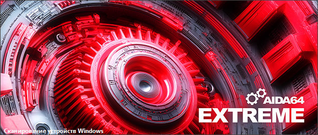 AIDA64 Extreme | Engineer | Business Edition | Network Audit 8.00.8000