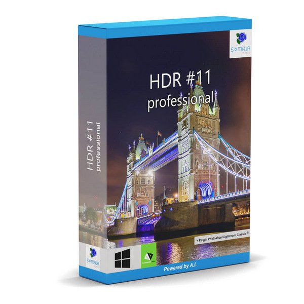 Accelerated Vision HDR 11 professional 11.43.04285 + Portable