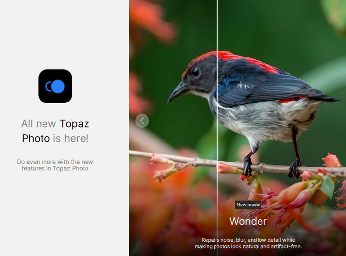 Topaz Photo Pro 1.0.2
