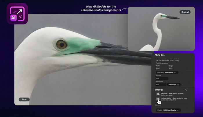 ON1 Resize AI 2026.1 v20.1.0.17740