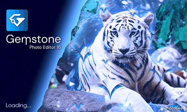ACDSee Gemstone Photo Editor 16.0.0.1820